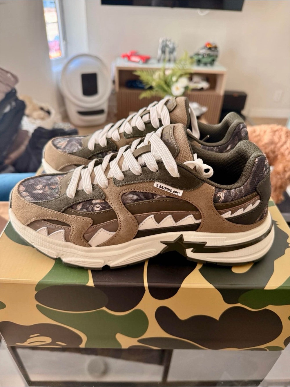 Bape Camouflage Shoe Box with Green, Brown, Black, Tan Pattern